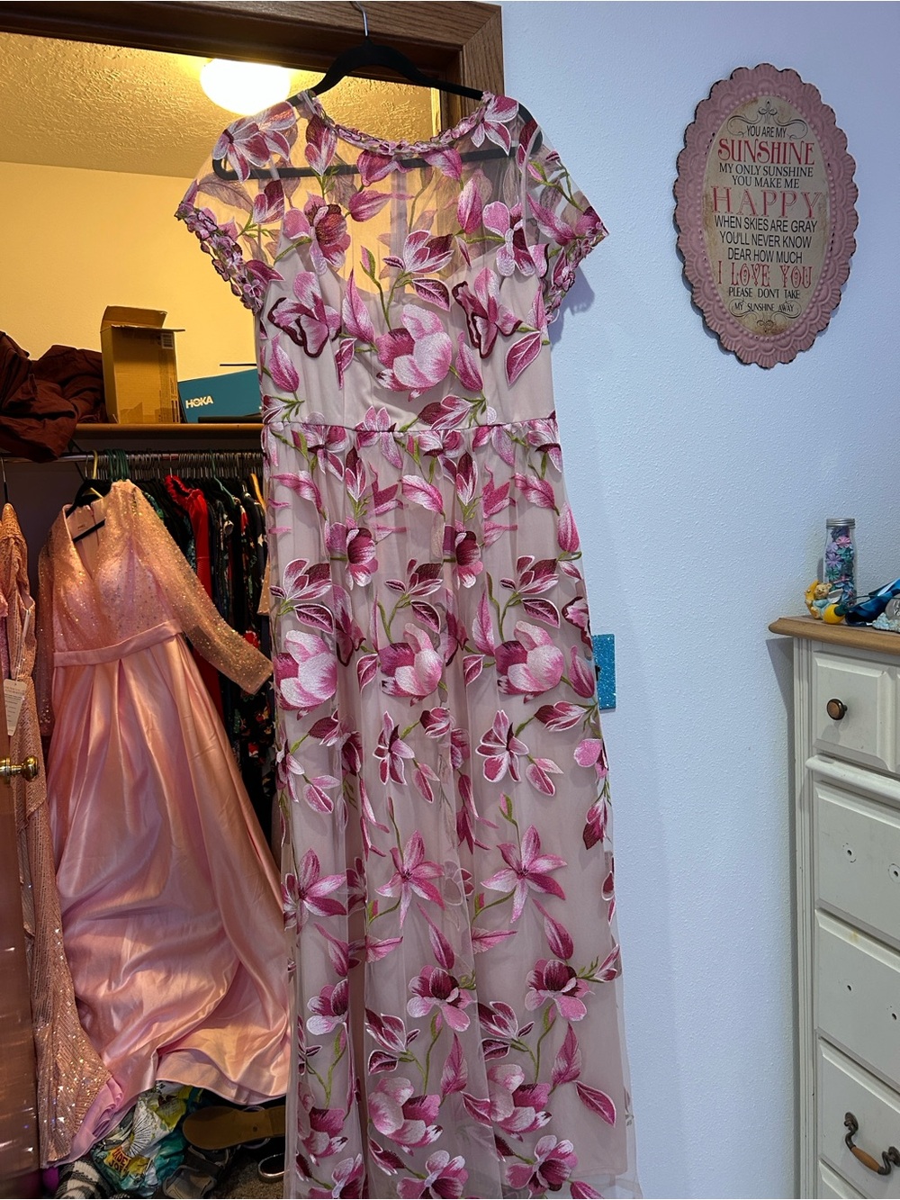 Adrianna Papell Pink Floral Embroidered Mesh Maxi Dress NWT